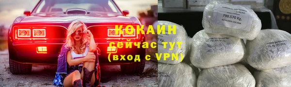 твердый Арсеньев