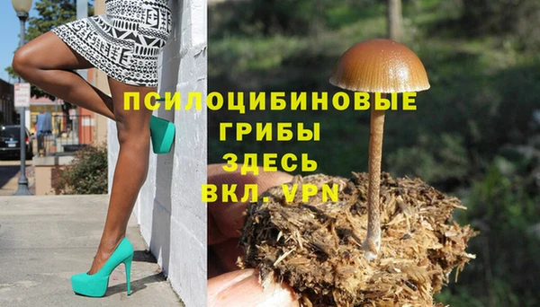твердый Арсеньев