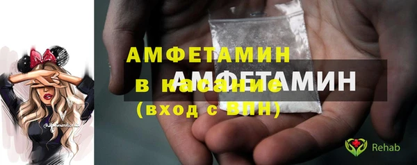твердый Арсеньев
