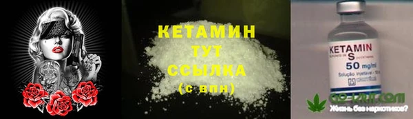 твердый Арсеньев