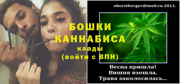 spice Аркадак
