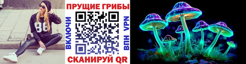 Псилоцибиновые грибы Magic Shrooms  Тюкалинск 